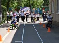 img (15)
